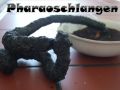 pharaoschlange