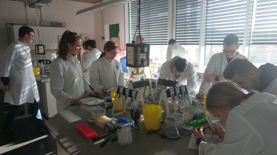 Edertalschule