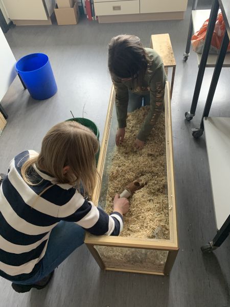 Edertalschule