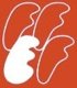 FFEF Logo rot