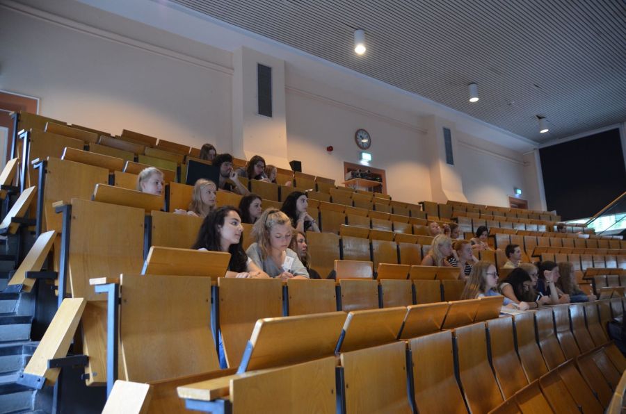 mint_summer-school_2018_0004.jpg