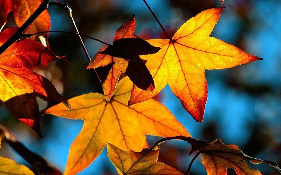 herbst 2014