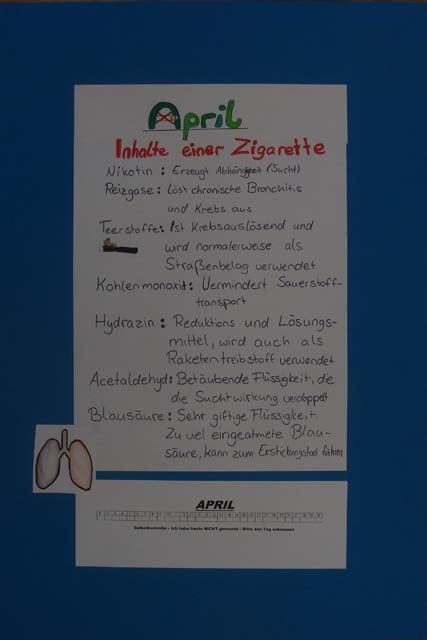 05.jpg