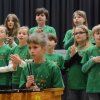 schulen_musizieren_2015_26