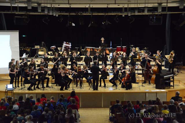 schulen_musizieren_2017_16.jpg