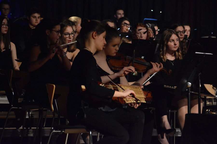 schulkonzert_2018_009.jpg