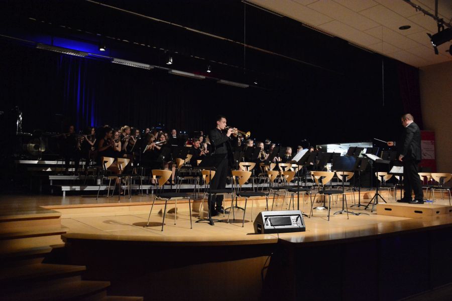 schulkonzert_2018_017.jpg