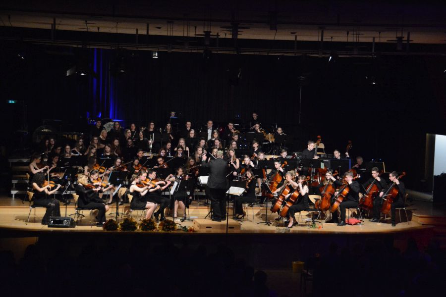 schulkonzert_2018_061.jpg