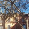 madrid_2015_04