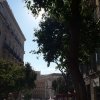 madrid_2015_06